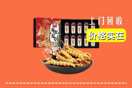 黔南瓮安县回收冬虫夏草